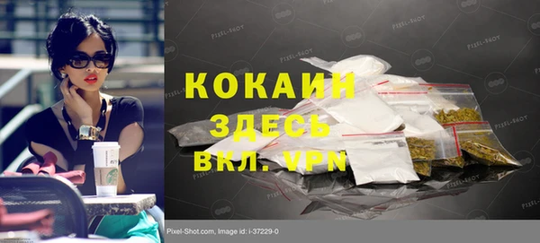 гидра Вязьма