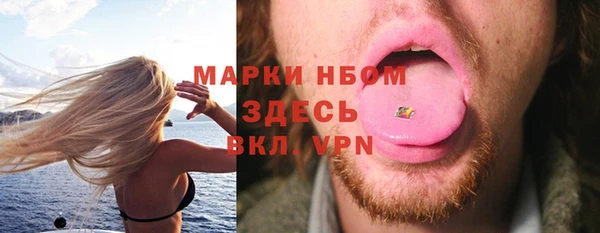 гидра Вязьма