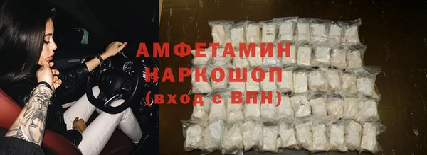 гидра Вязьма