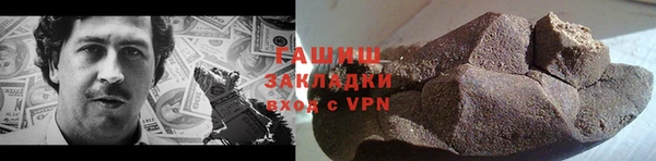 гидра Вязьма
