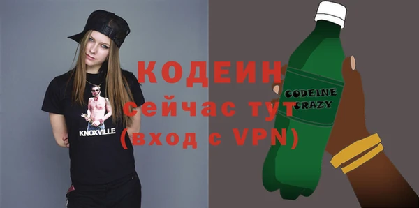 гидра Вязьма