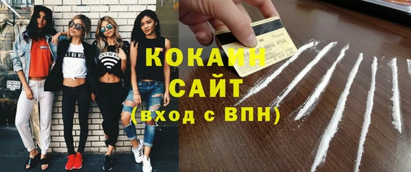 гидра Вязьма