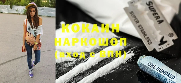 гидра Вязьма