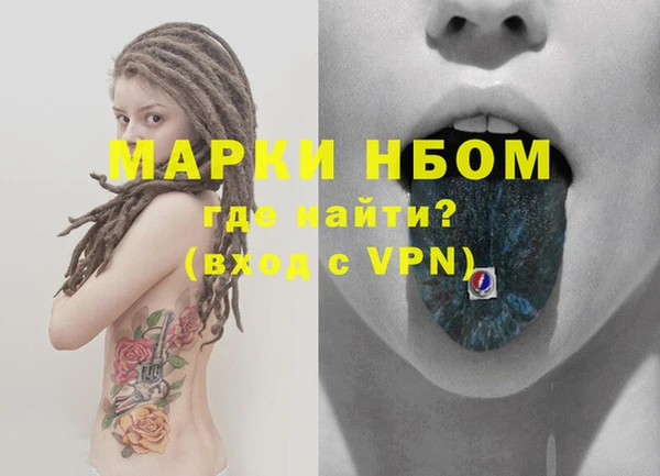 гидра Вязьма