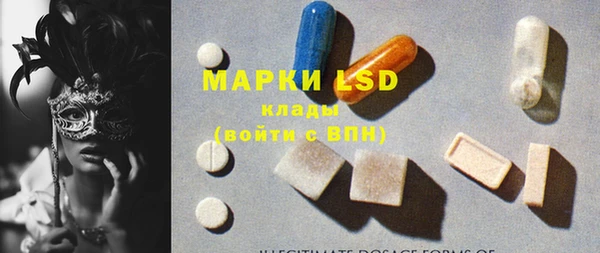 гидра Вязьма