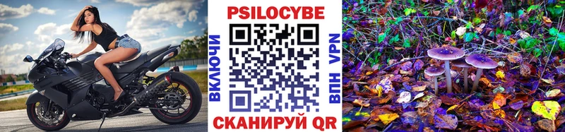 Галлюциногенные грибы Magic Shrooms  Купить  Кирсанов 
