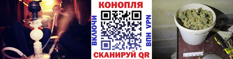 Канабис план Кирсанов