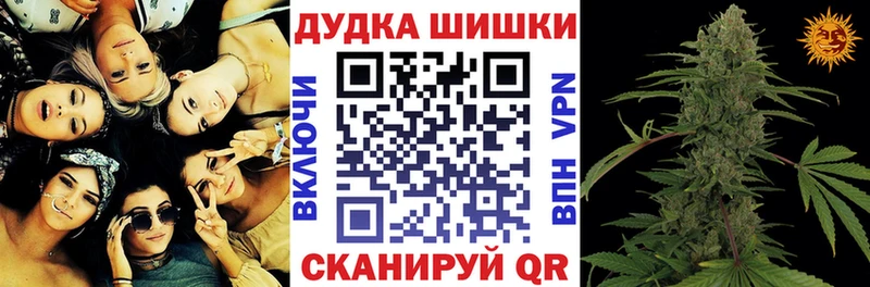 Купить где Кирсанов Конопля семена